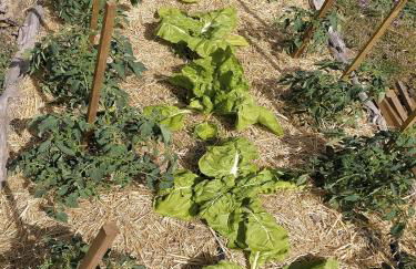 El Telar Arte y Naturaleza - Foto 11