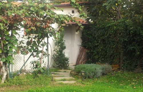 Agriturismo Il Giardino - Photo 29