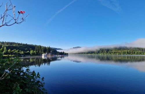 Altes Zollhüsli - Foto 8