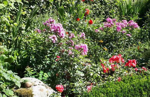 80qm Top Wohnung für 4 Personen in 2 Schlafzimmer - Photo 31