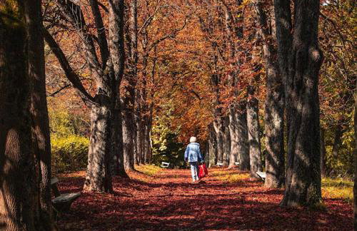 Pro-Apartments Croatia - Foto 54