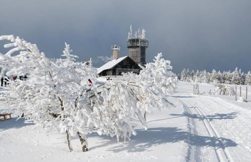 Ferienwohnung Tannenblick 2-2 3-4 - Photo 38