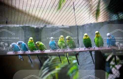 Flat Perfeito Flat Amarilis em Riviera São Lourenço com café da manhã e enxoval completo toalhas praia e piscina com trocas - Foto 21