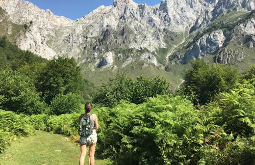 Aire de Picos Norte - Foto 38