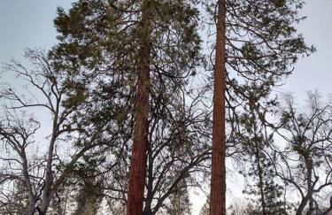 O'Brien's Oasis - Foto 17