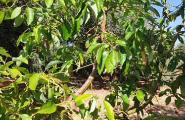 Anatolika Stamatis Paradise - Photo 5