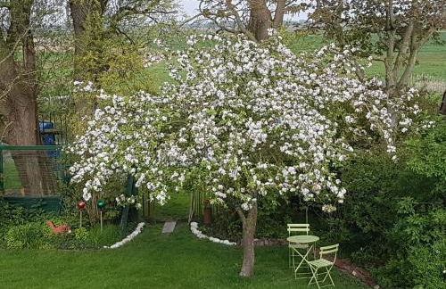 Birkenhof-Neuharlingersiel - Photo 11
