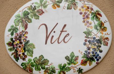 Agriturismo MASSERIA QUISISANA - Photo 7