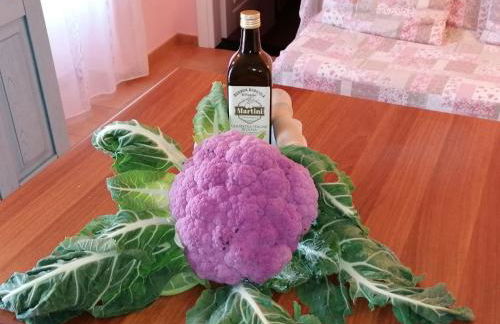 Apartment Rosa by Interhome - Foto 35