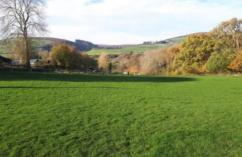 Buzzards Breg - Foto 32