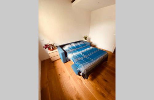 Viareggina con giardino - Foto 5