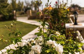 Studios Afrodite - Foto 9