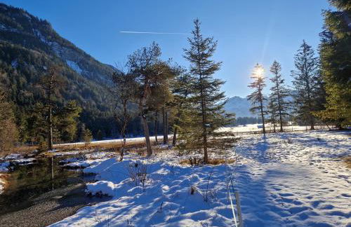 Das Bergnest - Foto 29