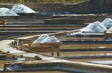 Quinta do Sanguinhal - Foto 55