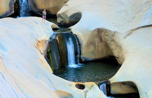 Redwood Retreat, Mountains, Adventure and Nature - Foto 40