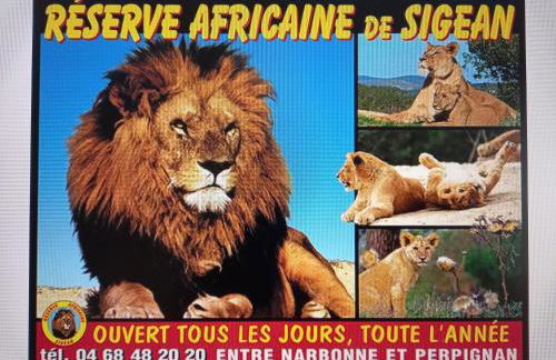 Saint Laurent de la Salanque Charmant T2 classé 3 étoiles - Foto 39