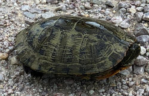 Fishers Of Men Ranch Home - Photo 33