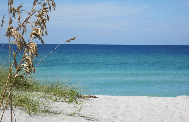 Turtle Crawl Inn - Foto 63