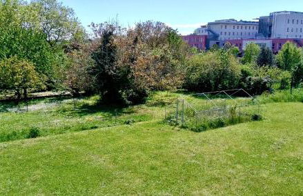 LE HAVRE D'ATHENA - Grand appart, jardin privé, abri vélos & accès rapide A61 - Foto 44