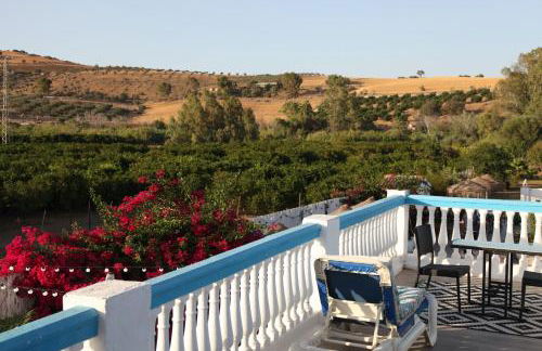 The Dragonfly Retreat - Photo 45