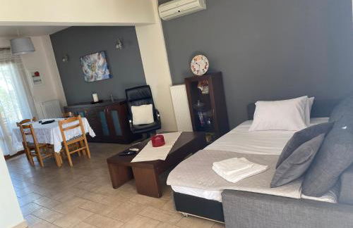 Mesaria House Syros - Foto 30