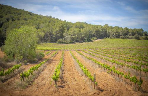 Catalunya Casas Tranquil nature 'feel' , yet only 4 min to beach! - Foto 25