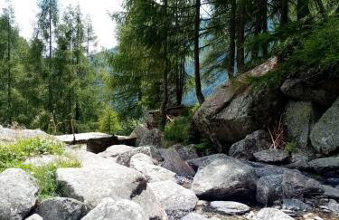 Casa Rimasco - Foto 36