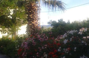 Elea Guesthouse - Photo 64