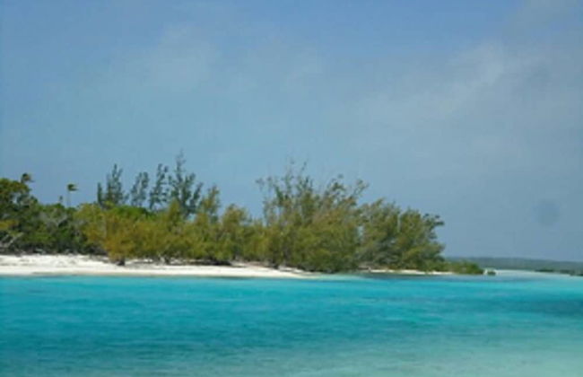 Orange Creek Inn - Foto 28