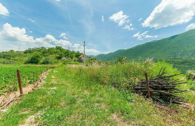 House Cattleya - Photo 34