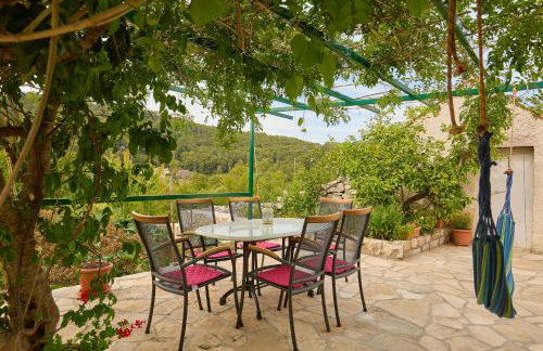 Agriculture & Holiday house Lasko - Photo 12