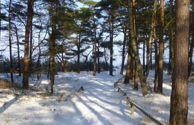 Beach House Lucky Rugen - Foto 11