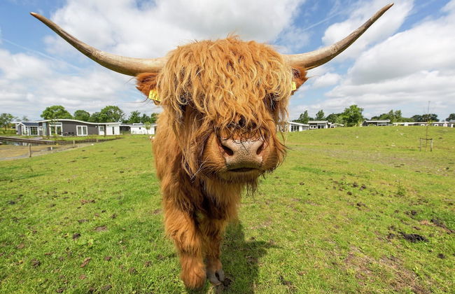 Family Getaway w/ Garden - Photo 21