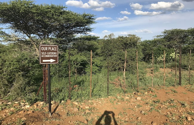 Our Place - Photo 33