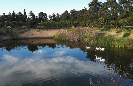 Sicily Country House & Beach - Foto 36