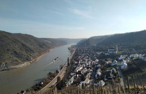 100 Stufen über dem Rhein - Photo 76