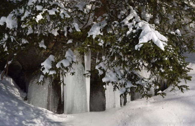 Classy Apartment in Bad Sachsa - Foto 15