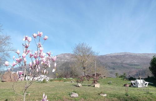 Balentziaga - Photo 26