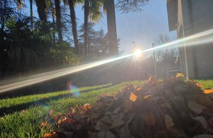 Villa Julia - Foto 54