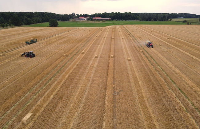 Gemutliche Unterkunft in Eschede - Foto 33