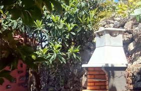 Gran Drago - Foto 30