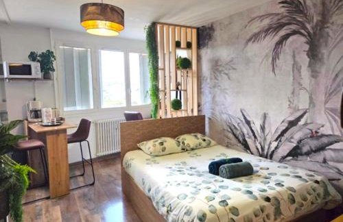 Studio le Cosy Jungle - Foto 1