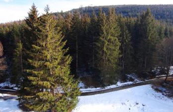 Ferienwohnung Tannenballett im Schwarzwald - Foto 22