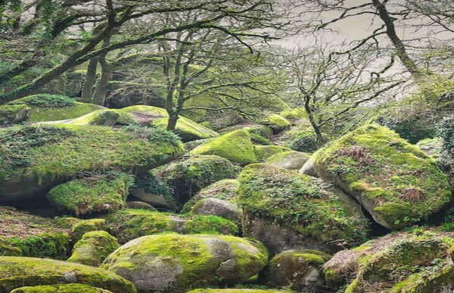 Cosy Holiday Home in Huelgoat With Terrace - Foto 37