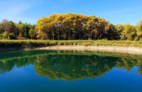 Corral de l'esquirol - Foto 49