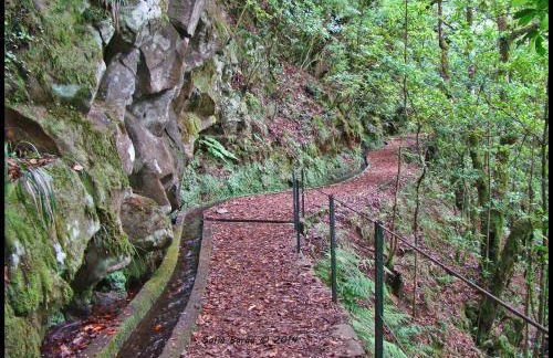 Pereira Place - Foto 32