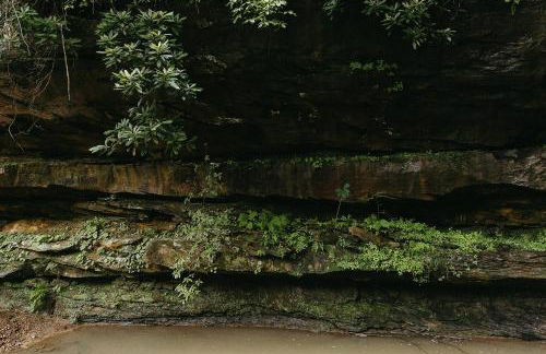 "Home Sweet Dome" MODERN TREEHOUSE STAY w/ Hot Tub - Foto 37