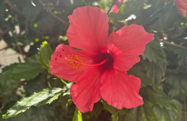 Casa San Jose - Foto 50