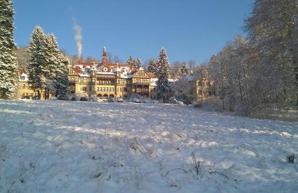 Wysokie Łąki domki w górach - Foto 47