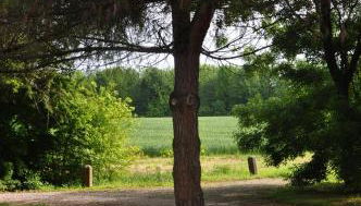 BORGO GIUSTINIANI Mora Pero Melo - Foto 3